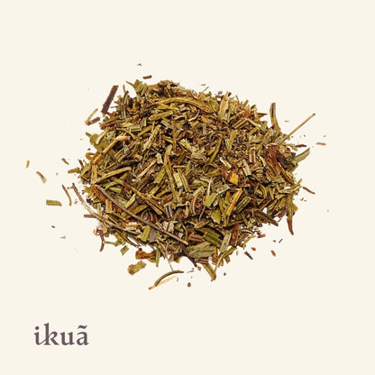 Yerba Santa