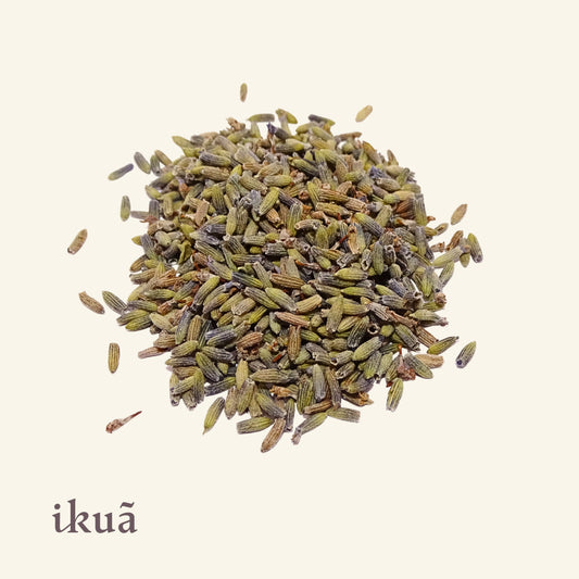 Lavendelblüten (blau)