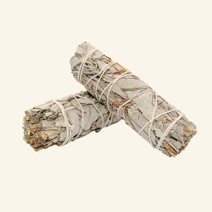 Weisser Salbei Smudge Stick (Salvia apiana) 14 - 15 cm