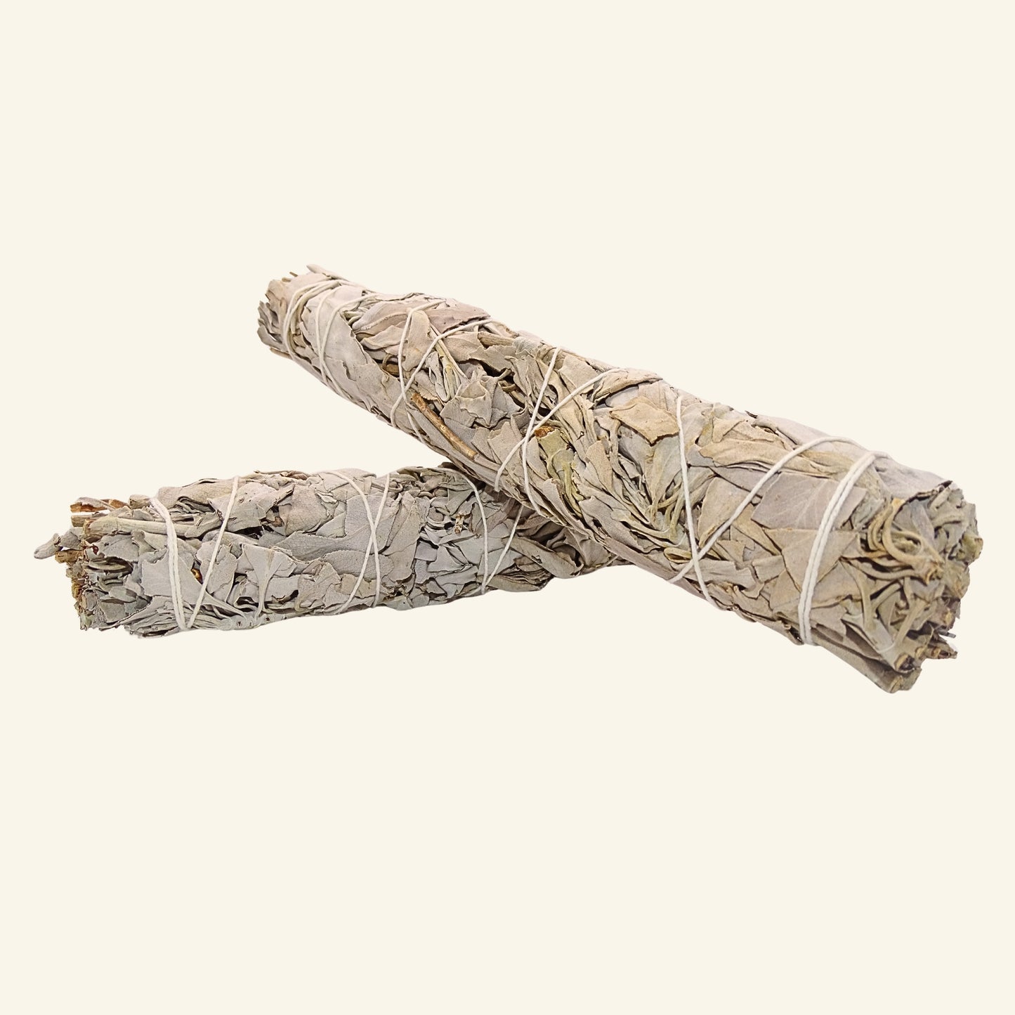 Weisser Salbei Smudge Stick (Salvia apiana) 22 - 23 cm