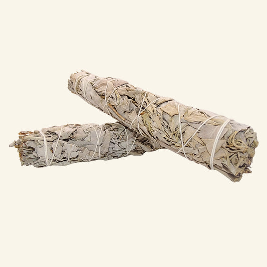 Weisser Salbei Smudge Stick (Salvia apiana) 22 - 23 cm