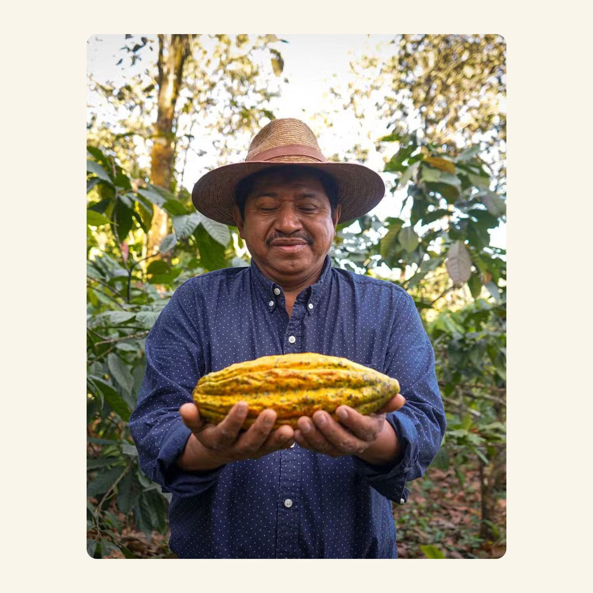 Bio Rohkakao Guatemala, Finca Encanto, 500 g