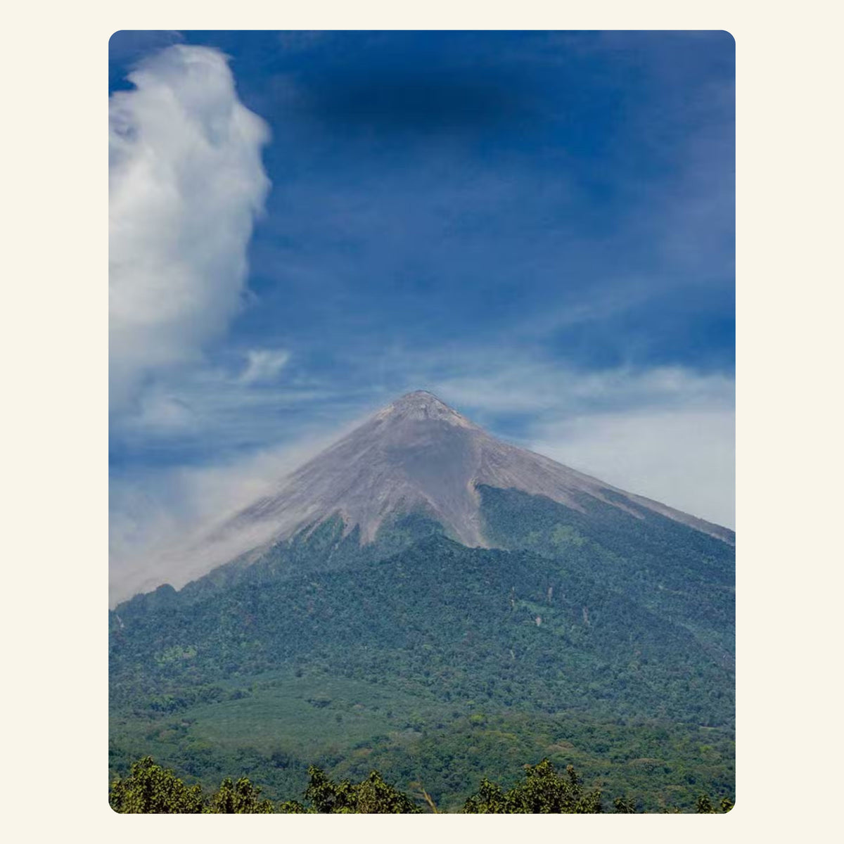 Bio Rohkakao Guatemala, Finca Encanto, 500 g