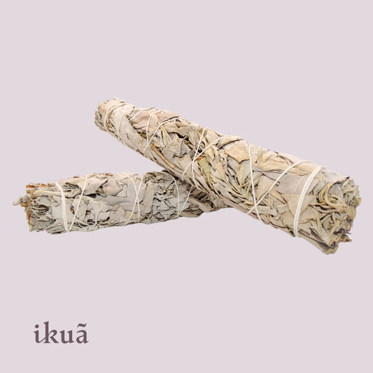 Weisser Salbei Smudge Stick (Salvia apiana) 22 - 23 cm