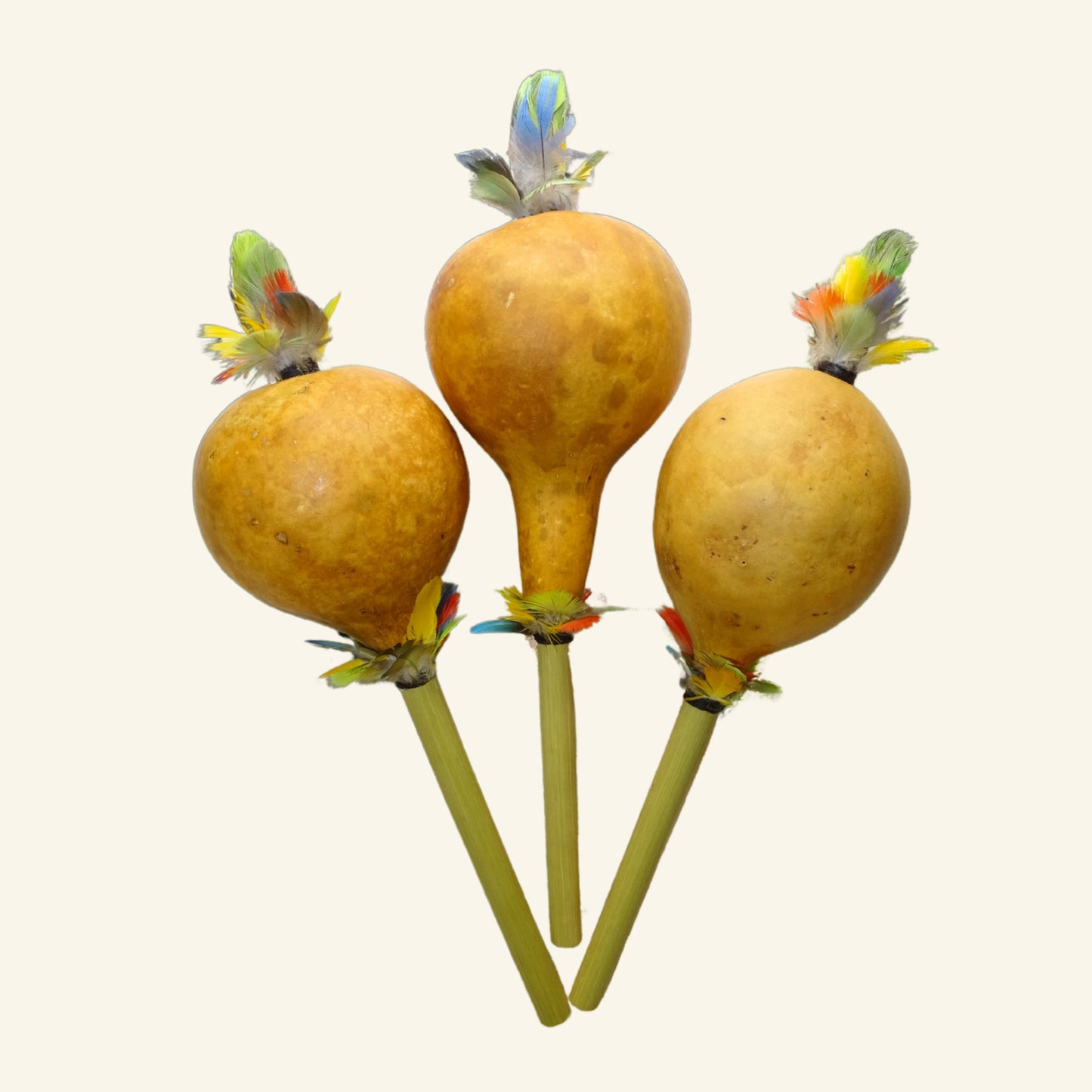 Maraca - Xingu