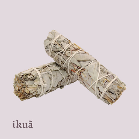 Weisser Salbei Smudge Stick (Salvia apiana) 14 - 15 cm